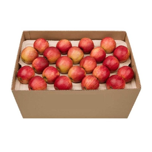 Fresh Apples (Royal Gala) , 15kg per box