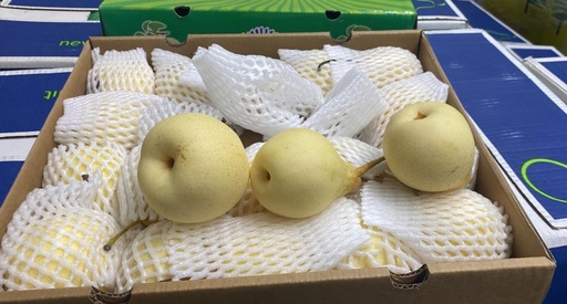 Fresh Golden Asian Pears , 3 kg ( Approx 18-20 pieces)