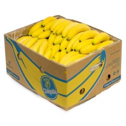 Fresh Bananas,15 kg per carton