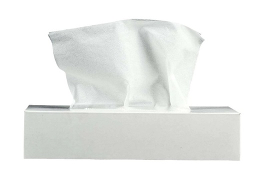 ADY PACK FACIAL TISSUE - 2-PLY, 100 SHEETS (BOX OF 4)