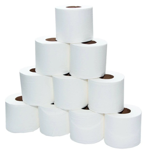 GOLD FIN Toilet Tissue Rolls , 400sheets ,2ply ( Pack of 10)