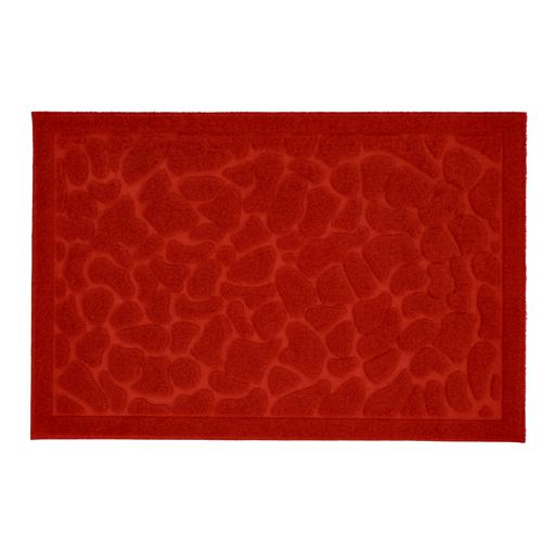 Generic AZKQ0079 Non Slip Absorbent Floor/Door Mat , 50x80 cm, Assorted Colors
