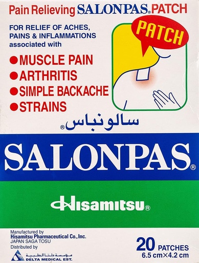 Salonpas Pain Relieving Patch , 6.5 x 4.2 cm (Pack of 20)