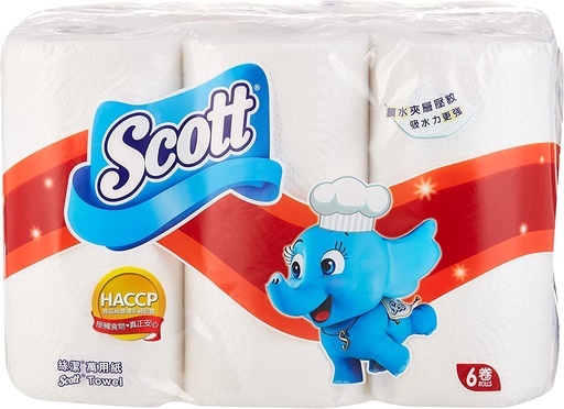 Scott Kitchen Towel Rolls (Pack of 2)