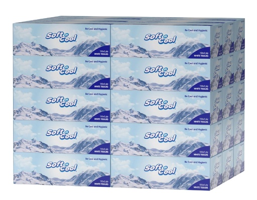 Soft N Cool Facial Tissue Box , 2ply, 150 Sheets (Case of 30)