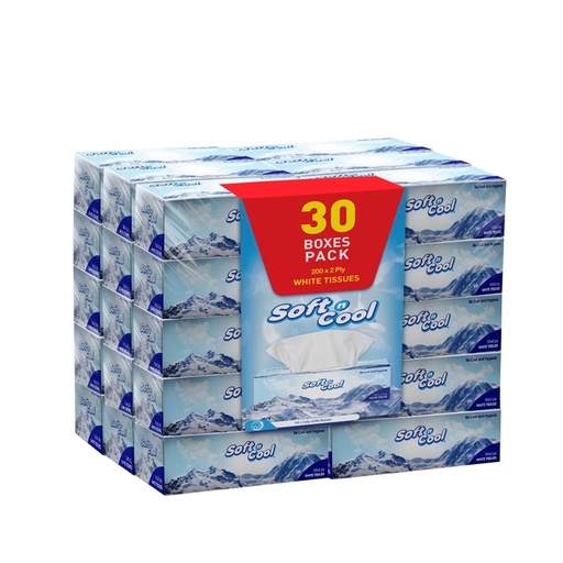 Soft N Cool Facial Tissue Box , 2ply, 200 Sheets (Case of 30)