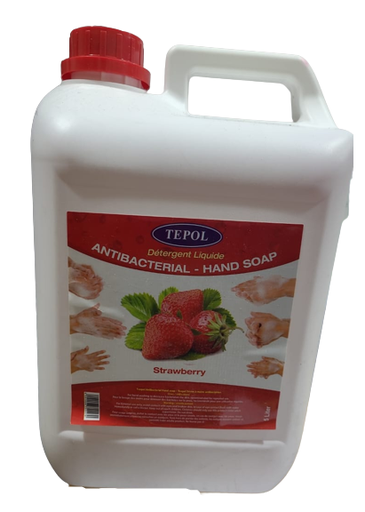 Tepol Anti Bacterial Liquid Hand Soap - Strawberry, 5 Liters (Case of 4)