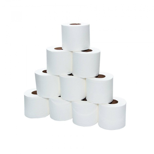 AISH Toilet Tissue Rolls , 2ply , 300 sheets ( Case of  100)