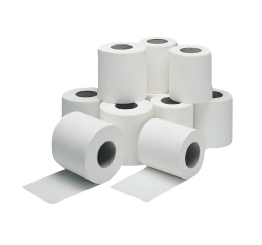 AISH Maxi Roll Tissue 2ply , 20cm (Pack of 6)