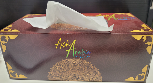AISH Facial Tissue Box , 2ply, 200 Sheets (Case of 30)