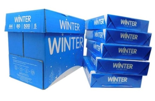 Winter Print and Copy Paper  A4, 80 gsm,5 Ream/Box
