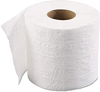 AYIN TI09A Toilet Tissue Rolls ( Case of 100)