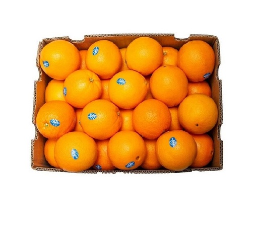Fresh Mandarin Oranges 15 KG / Box