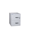 CHUBBSAFES PROFILE NT FIRE RESISTANT DOCUMENT PROTECTION CABINET MODEL NT 120 31" -  2 DR with 2 Drawers