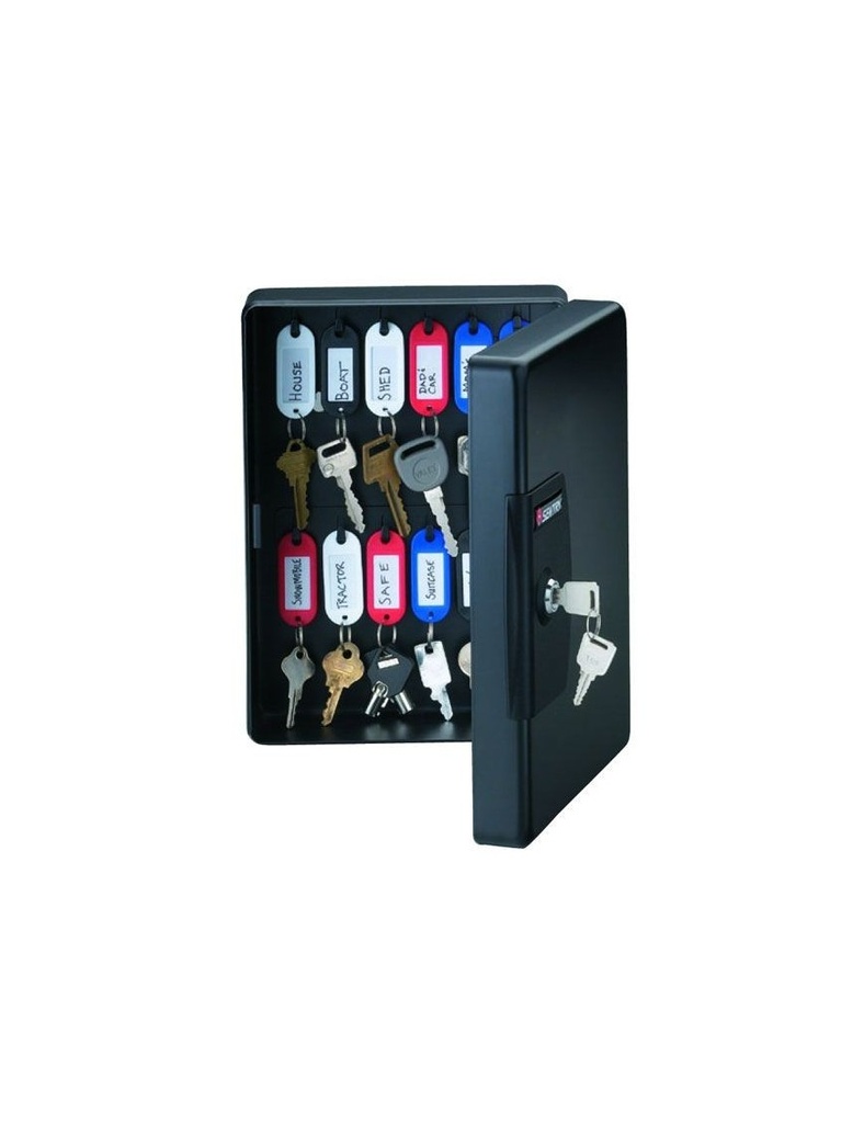 SENTRY KEY CABINET MODEL KB-25 Locking:  KEYLOCK