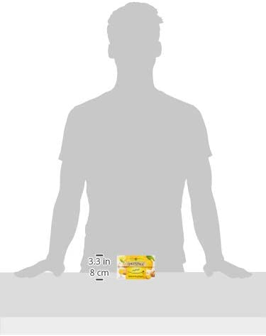 Twinings Infuso Lemon & Ginger Tea, 20 Bags (Pack of  2)