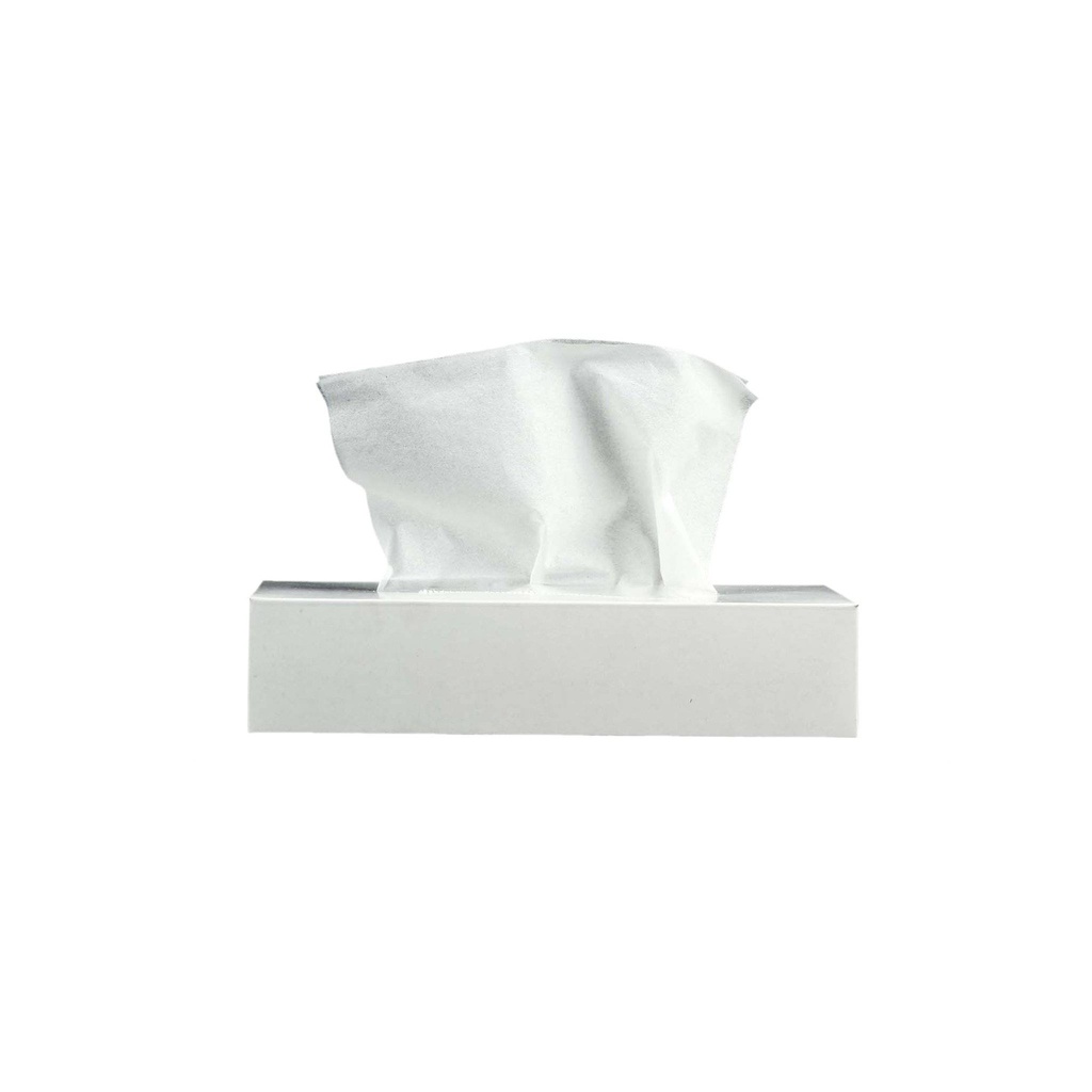 Snow White TI19 Plain Tissue Box White , 100 sheets ( Pack of 6)