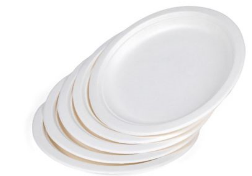 ADY Heavy Duty Biodegradable Paper Plate - Round, 9", White (Pack of 50)