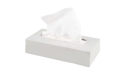 Fine Smart White Facial Tissue - 2 Ply, 100 Sheets (Box of 36)