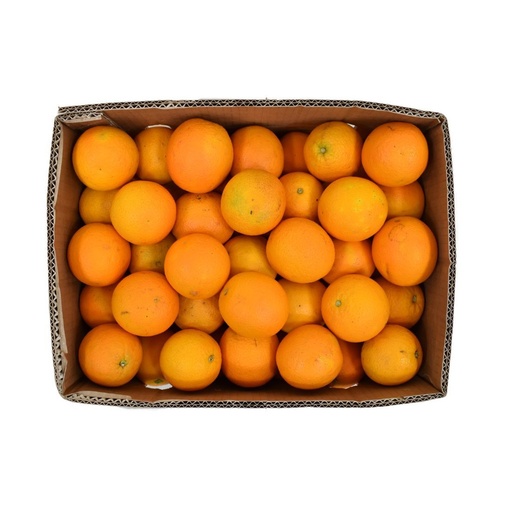 Fresh Valencia Oranges 15 KG / Box