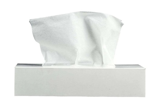 ADY PACK FACIAL TISSUE - 2-PLY, 100 SHEETS (BOX OF 4)