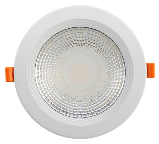 Max Led Down Light 30w